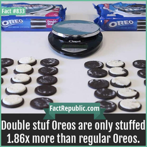 Everyday Life Facts