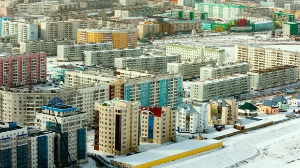 В Якутске после гибели женщины сформирован оперштаб по отлову собак на улицах