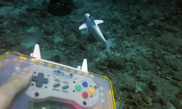 obotic-swimming-fish-SoFi-close-up-remote-control