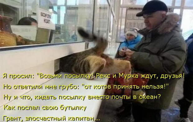 Лучшие котоматрицы недели Лучшие котоматрицы недели