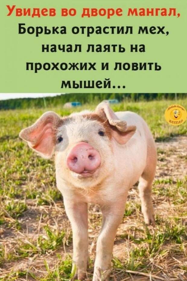 Баянисто-небаянистый юмор