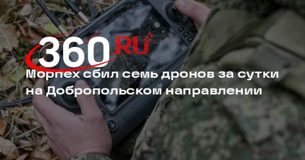 Морпех ВС России за сутки сбил шесть FPV-дронов и один разведывательный Mavic