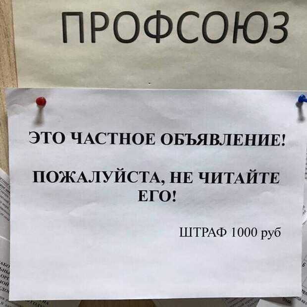 Стеб над любителями развешивать объявления Стеб над любителями развешивать объявления