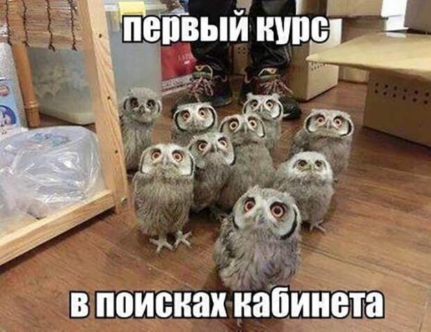 Первый курс ) Первый курс )