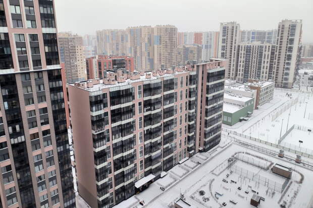 Россиянам назвали способы защититься от «схемы Долиной»