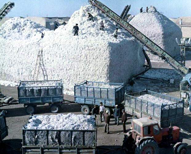 Кто кого кормил в СССР? Правда ли, что Россия была одной из самых бедных республик