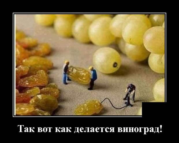 Демотиваторы 15 октября 2021 года