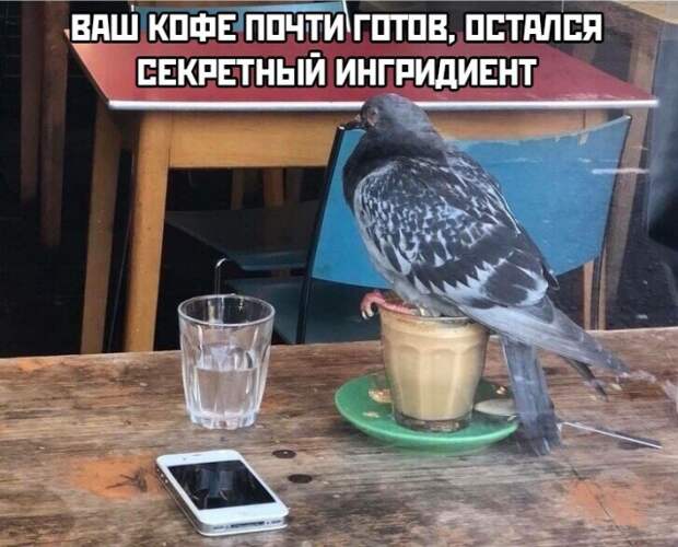 www.vsyako.net