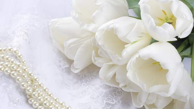 белые тюльпаны букет цветов