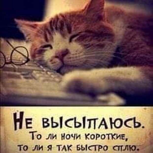 Добрые анекдоты и смешные истории в картинках