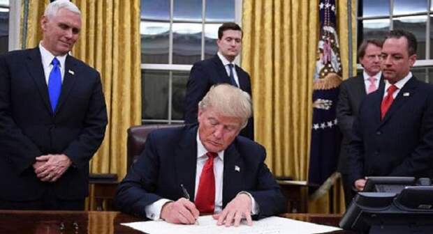 Трамп Трамп
