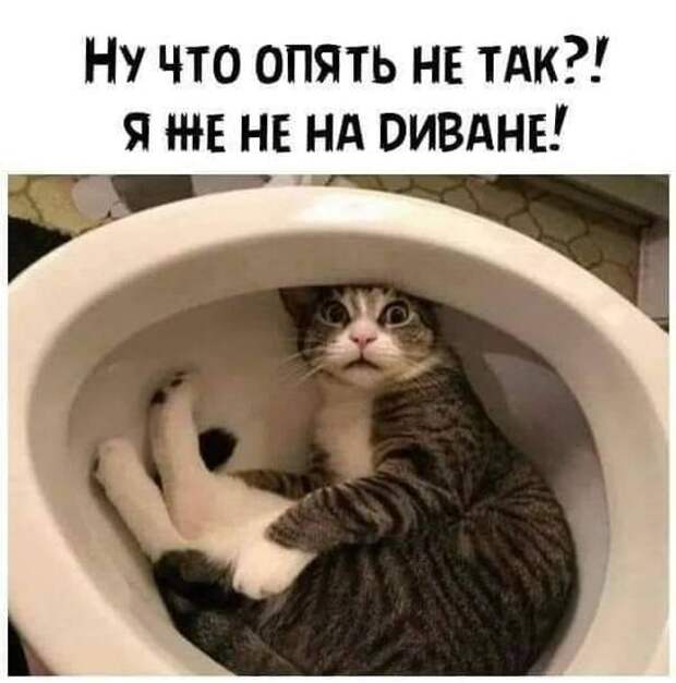 На изображении может находиться: мем и текст