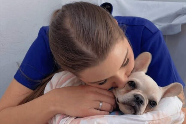 Собака употребила 12 граммов наркотика