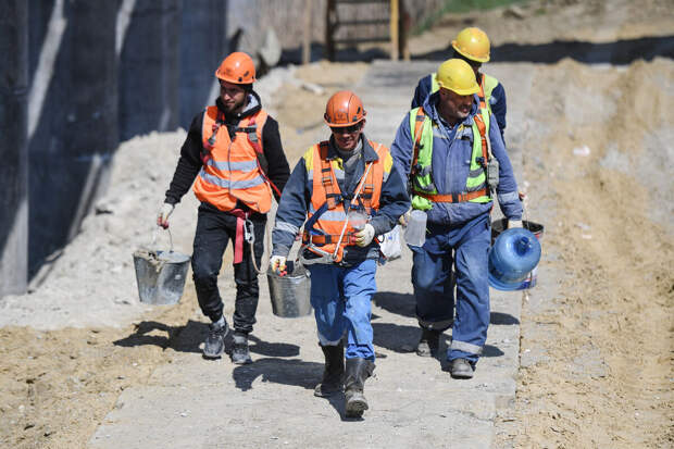 Московский регион и Санкт-Петербург стали лидерами по числу трудовых мигрантов
