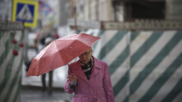 Ливни и до плюс 35 градусов ожидается на следующей неделе в Московском регионе