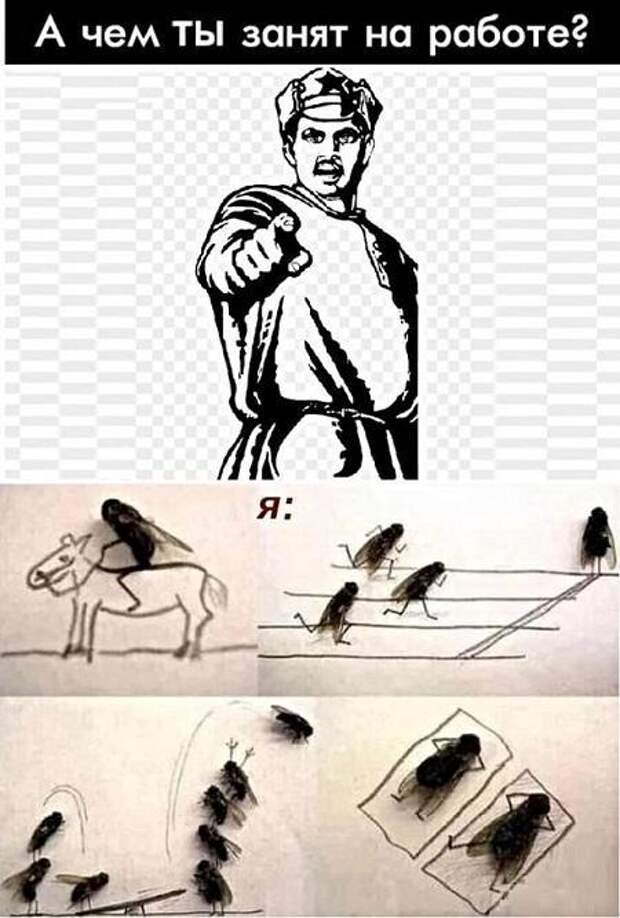 Смешные до слез мемы и картинки