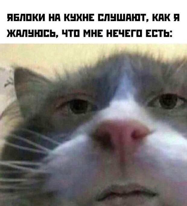 Картинки с надписями