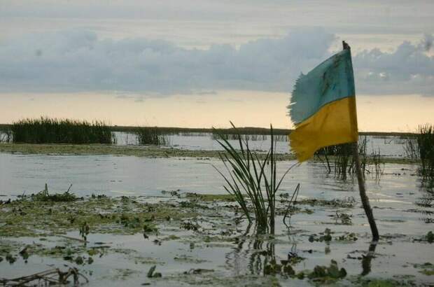 ТАСС: ВСУ из-за потерь отводят войска вглубь Сумской области