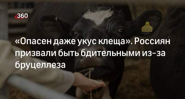 Профессор Чумаков назвал молоко потенциальным источником заболевания бруцеллезом