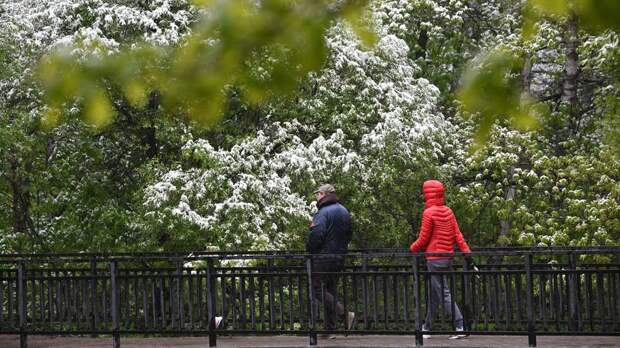 Синоптик спрогнозировал снег в Москве до утра 9 мая