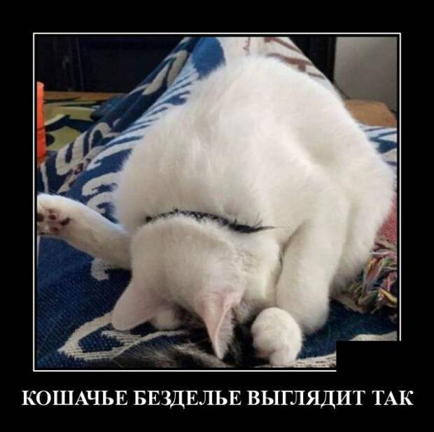 demotivatory-demotivator-smeshnye-demotivatory-demotivator-so-smyslom