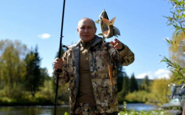 Путин на рыбалке (иллюстрация - фото Алексея Дружинина. Пресс-служба президента РФ)