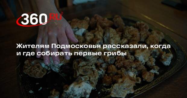 Миколог Вишневский: грибной сезон в Подмосковье начнется раньше срока