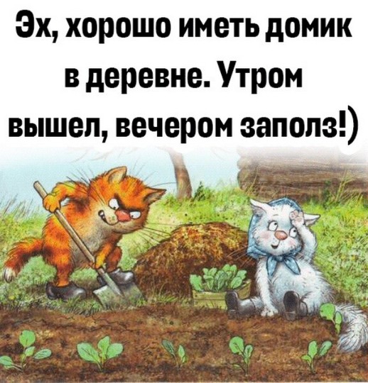 Хорошо иметь домик в деревне приколы картинки
