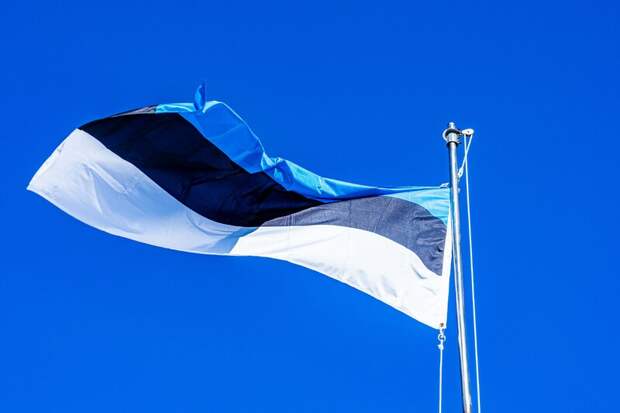 Эстония обсуждает возможность отправки войск на запад Украины