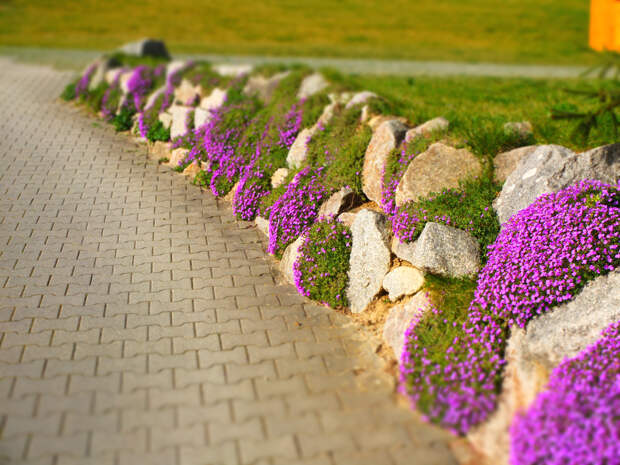 Designed by Freepik. Источник: www.freepik.com