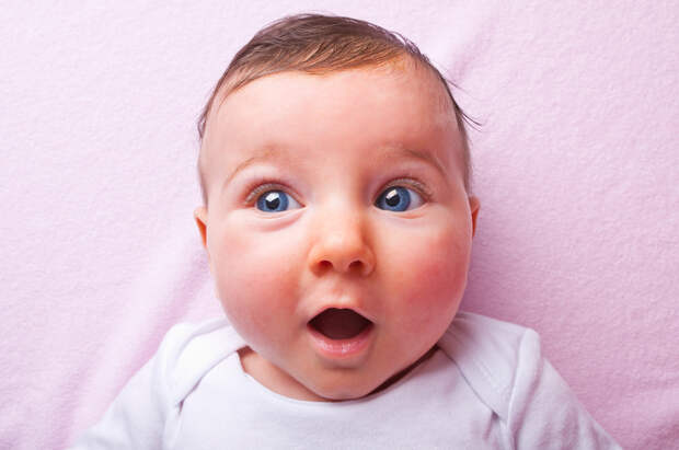 shutterstock_385405012.jpg