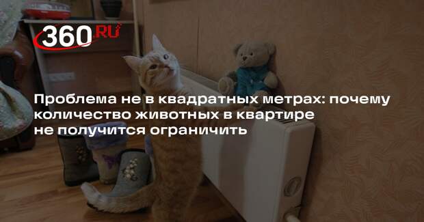 Депутат Бурматов: ограничения на число кошек и собак не пройдут чтения в Госдуме