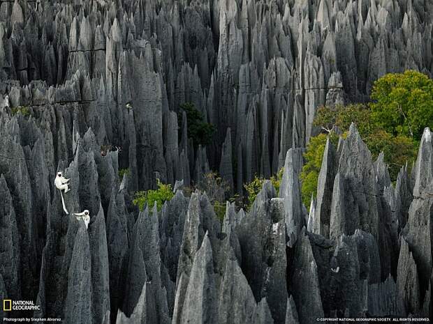 Tsingy de Bemaraha