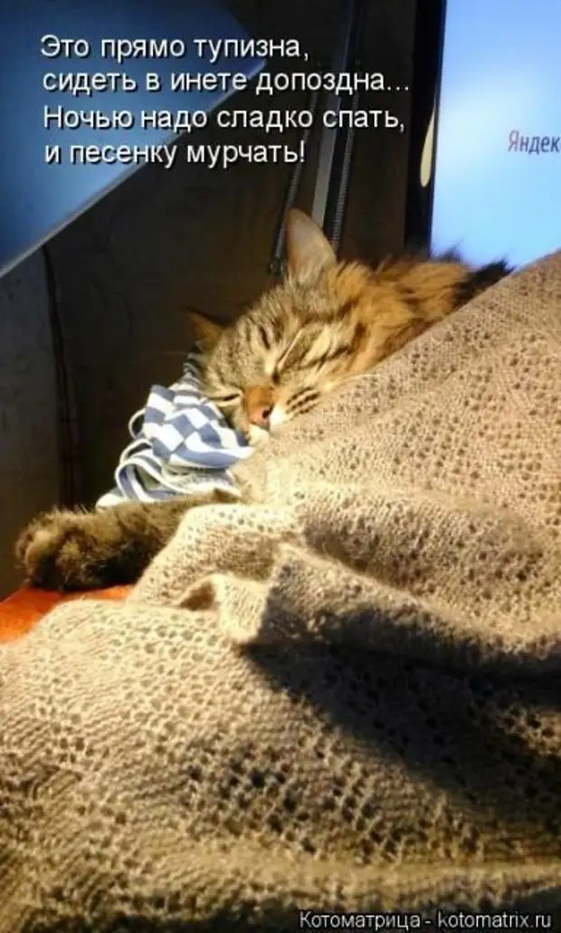 почему не хочется спать ночью. ночью надо спать картинки. цитаты про сон. ночью нвдоспвть. ночью нужно спать.