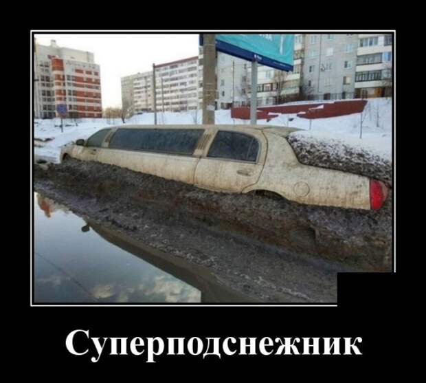Демотиваторы (20 фото)