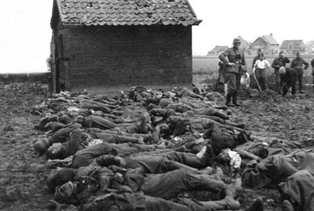 Подвиг советского летчика А.А. Куксина И-153, СССР, вов, самолет, чайка