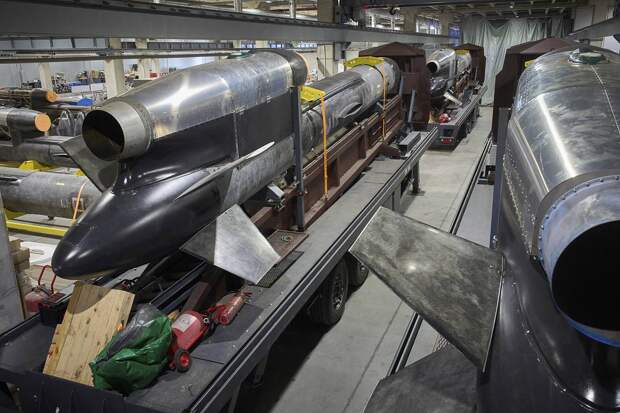 Стало известно о выгоде Зеленского от уничтожения производства ракет «Фламинго»