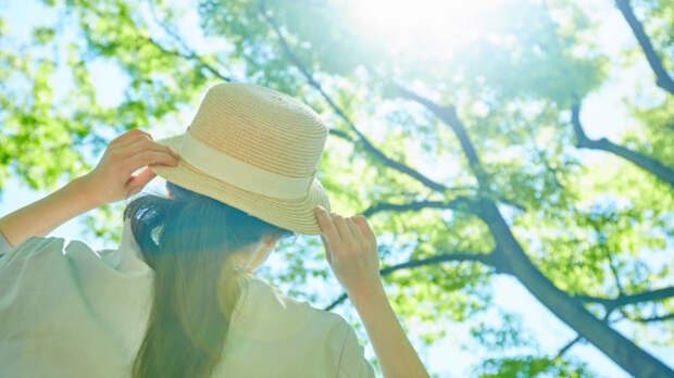 Август на Кубани прогнозируют жарким и сухим