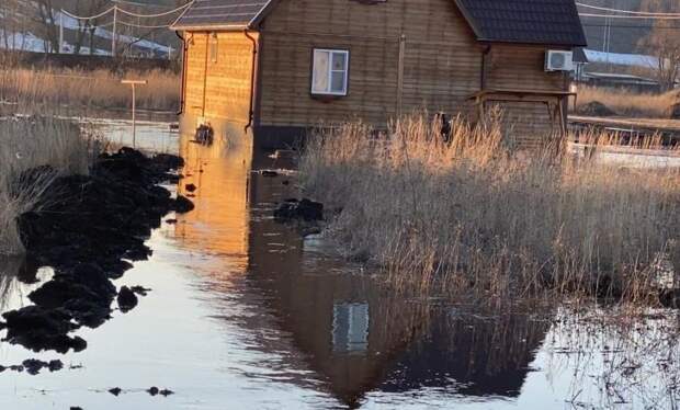 В приморском Дальнереченске затопило более 50 домов