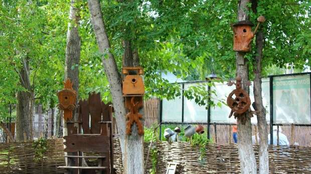 Зоопарк "Лесная сказка" приглашает барнаульцев на конкурс скворечников