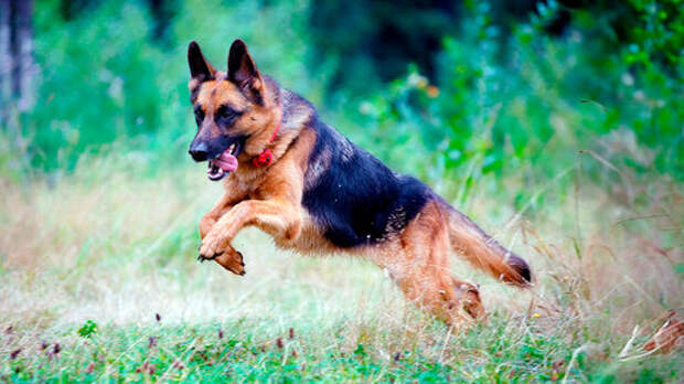 Сложный выбор