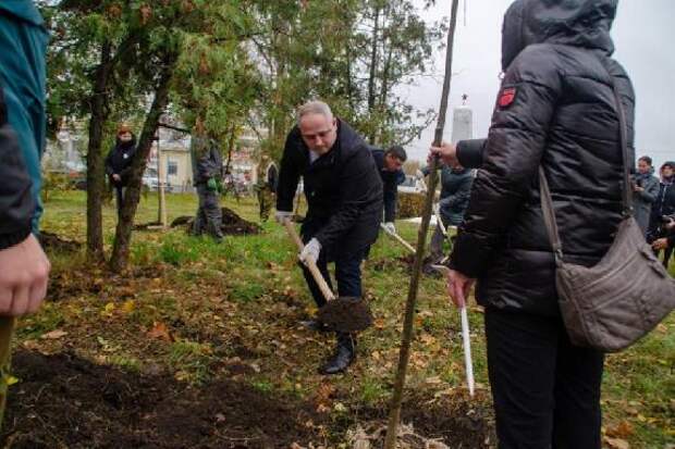 В Тамбове заложили Аллею Славы