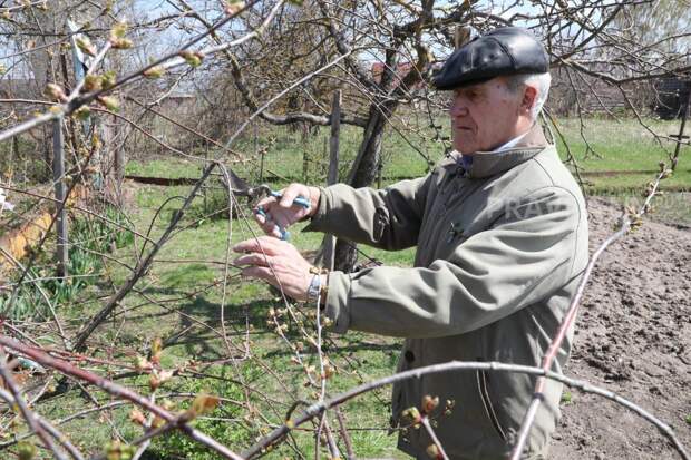 Агроном Маслов рассказал, чем заняться на огороде в марте, а что делать рано