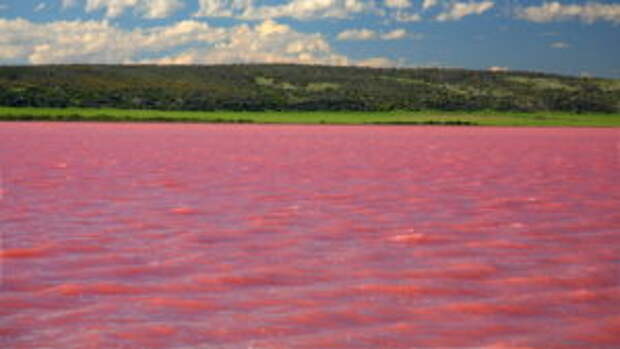 siberian_pink_lake