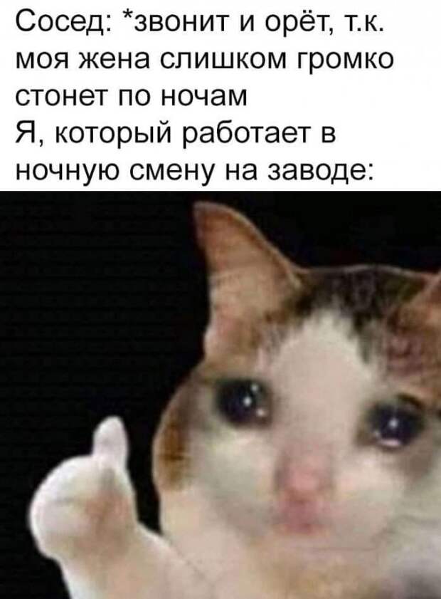 Мемы и приколы про 