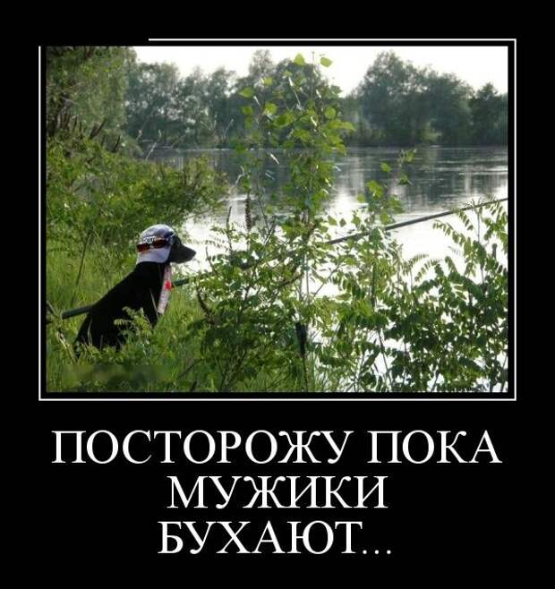 Демотиваторы (30 фото)