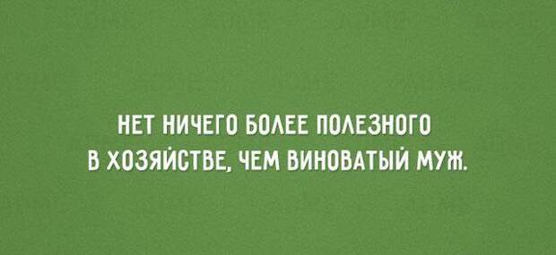 Смешные фразы из жизни женщин: Вы будете смеяться
