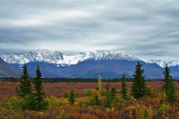 Почему в США никто не хочет бурить в Аляскинском заповеднике