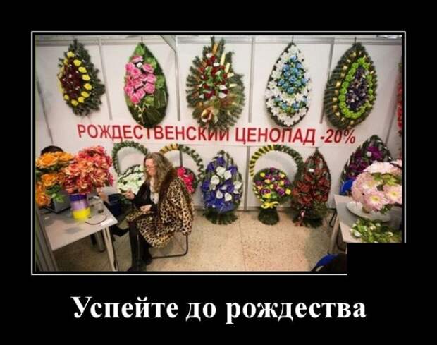 Демотиваторы (20 фото)