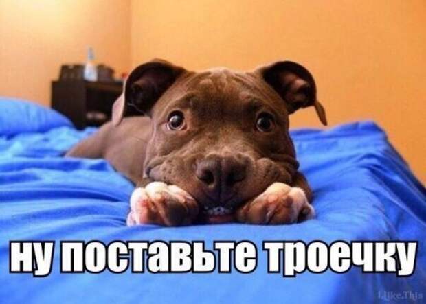 Новые анекдоты в середине недели (11 шт)
